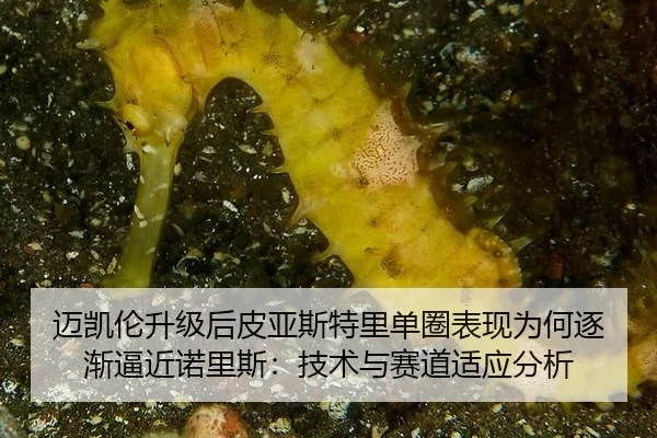 mai-kai-lun-sheng-ji-hou-pi-ya-si-te-li-dan-quan-biao-xian-wei-he-zhu-jian-bi-jin-nuo-li-si-ji-shu-yu-sai-dao-shi-ying-2-991.jpg