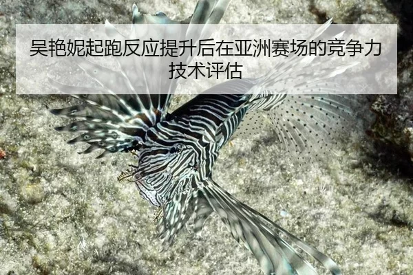 wu-yan-ni-qi-pao-fan-ying-ti-sheng-hou-zai-ya-zhou-sai-chang-de-jing-zheng-li-ji-shu-ping-gu-2-399.jpg