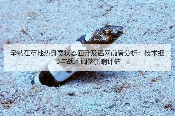辛纳在草地热身赛状态回升及温网前景分析：技术细节与战术调整影响评估
