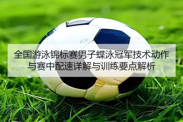 全国游泳锦标赛男子蝶泳冠军技术动作与赛中配速详解与训练要点解析