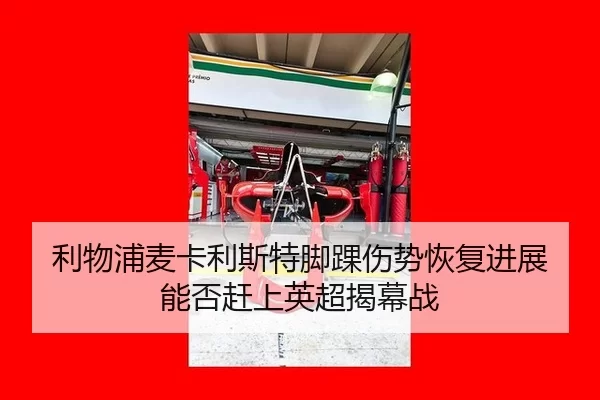 li-wu-pu-mai-ka-li-si-te-jiao-huai-shang-shi-hui-fu-jin-zhan-neng-fou-gan-shang-ying-chao-jie-mu-zhan-2-400.jpg