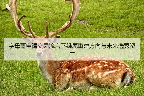 zi-mu-ge-shen-qing-jiao-yi-liu-yan-xia-xiong-lu-chong-jian-fang-xiang-yu-wei-lai-xuan-xiu-zi-chan-3-754.jpg